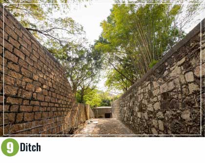 Ditch